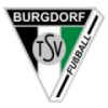 TSV Burgdorf Fussball